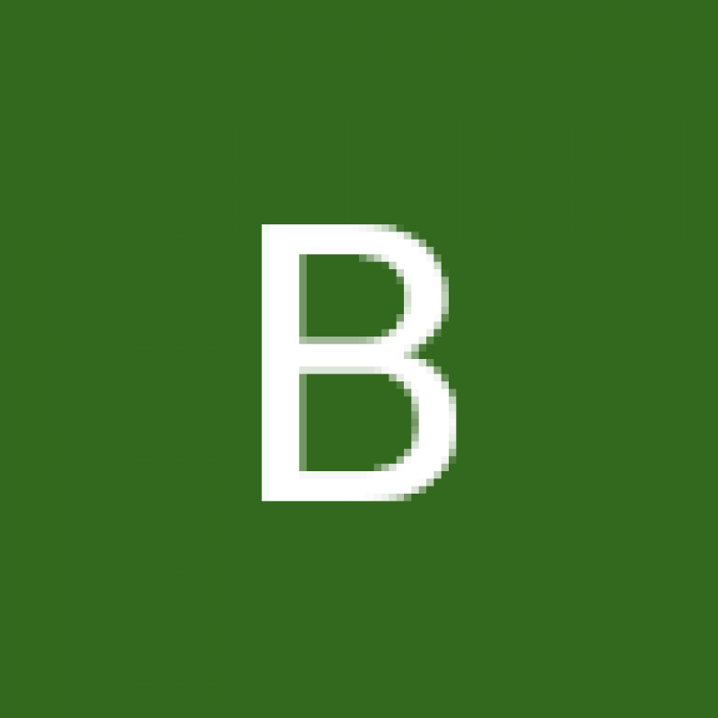 bayman099.220410