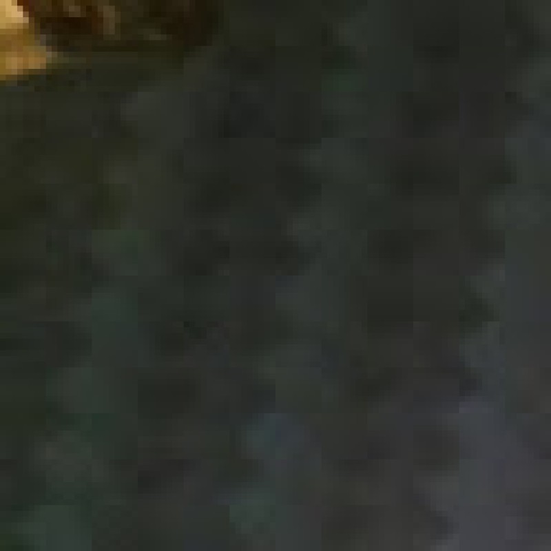 padriag01