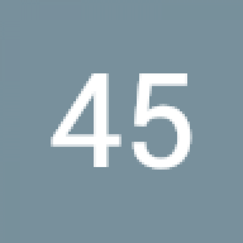 45 ACP