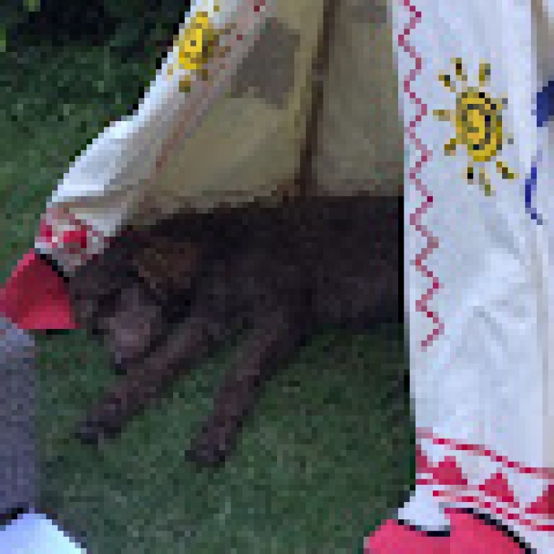 dirou.buster