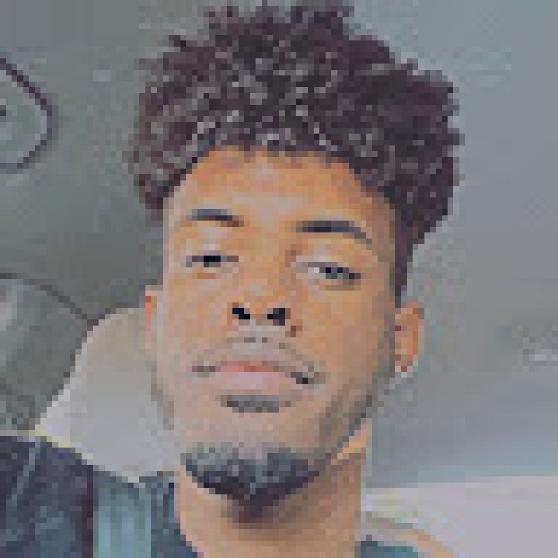 knoxsavion