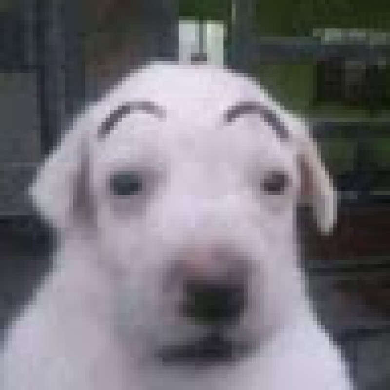 Sikk.Norreno
