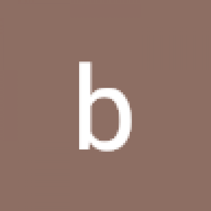 thecollecktor1.400201